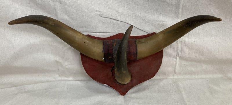 Mounted Bull Horns with Leather Wrap (1 of 7)