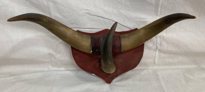 Mounted Bull Horns with Leather Wrap: Classic mounted bull horns displayed on a shaped wooden board, featuring a leather-wrapped center. Measures approx. 8''H x 18''W. Good condition with some wear to the leather wrap. Shipping