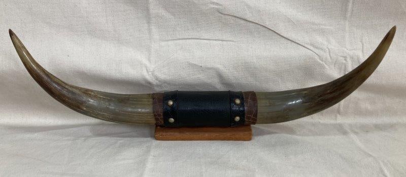 Handsome Pair of Mounted Steer Horns (1 of 5)