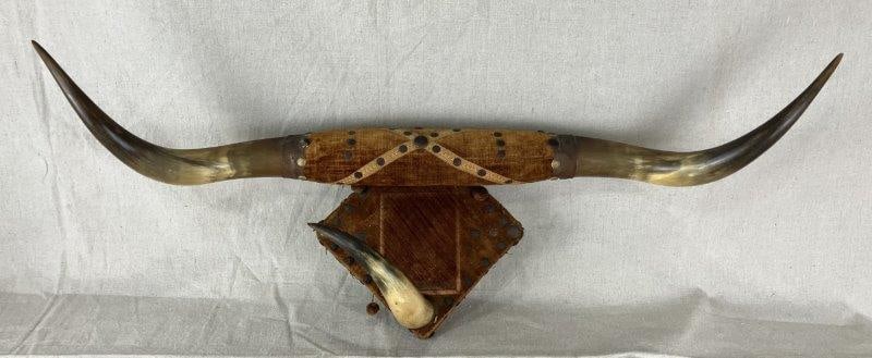 Mounted Steer Horns (1 of 11)