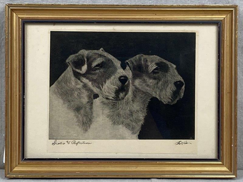 Bert Cobb, Terriers Scotio and Perfection (1 of 9)