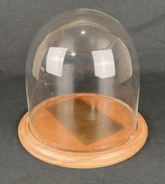 Glass Display Dome: Elegant clear glass display dome with luminous transparency and a fitted wood base, perfect for showcasing collectibles or decorative items. Measures approximately 9" H x 9 1/2" in diameter. Condition