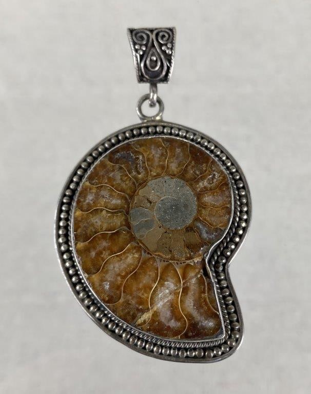 Sterling Silver and Polished Ammonite Fossil Pendant (1 of 5)