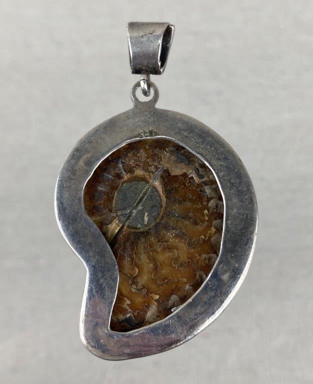 Sterling Silver and Polished Ammonite Fossil Pendant - 3