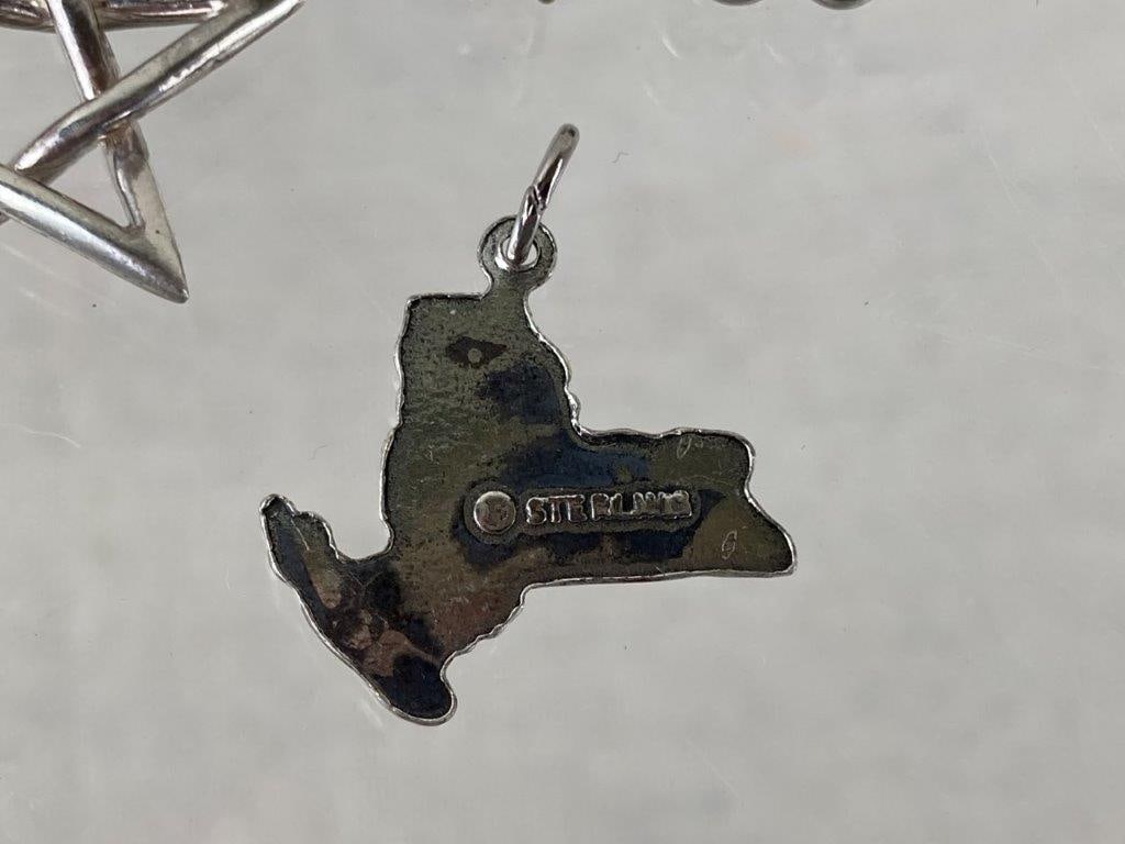 Collection of Sterling Silver Charms - 7
