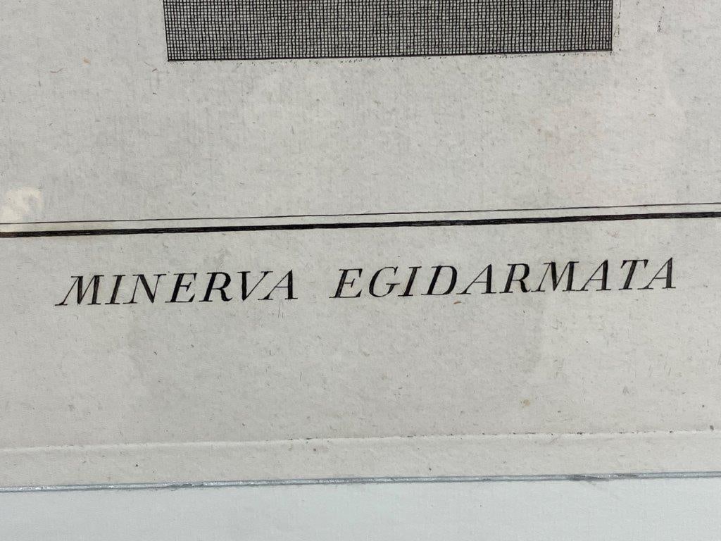 Pair of Pietro Fontana Classical Engravings of Minerva, 19th Century - 5