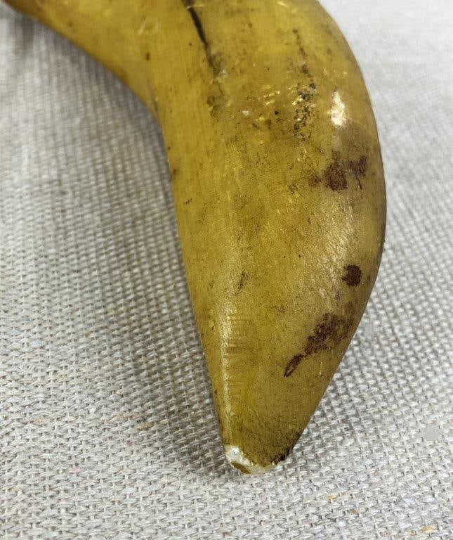 Stone Fruit Assortment - 6