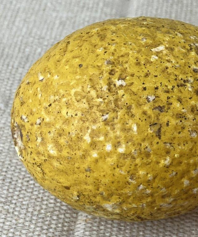 Stone Fruit Assortment - 7