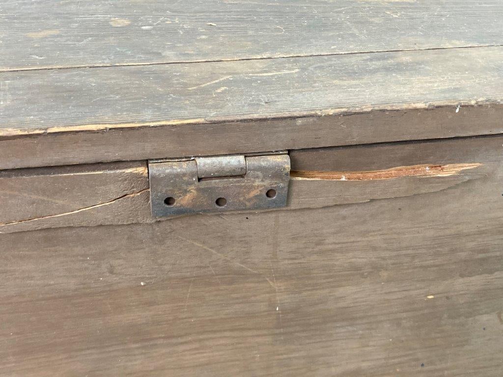 19th Century Southern Painted Blanket Chest - 8