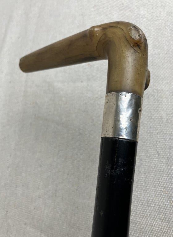 Antler and Sterling Cane - 2