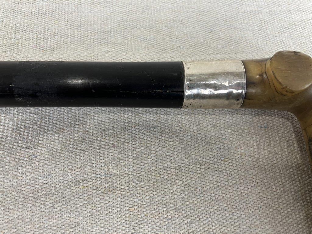 Antler and Sterling Cane - 4