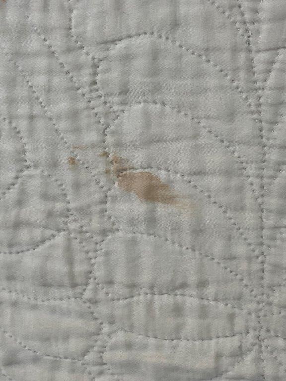 19th Century Floral Applique Quilt - 4