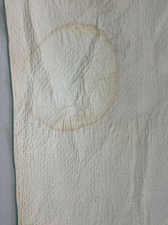 19th Century Floral Applique Quilt - 8