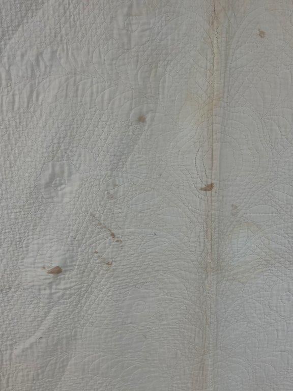 19th Century Floral Applique Quilt - 9