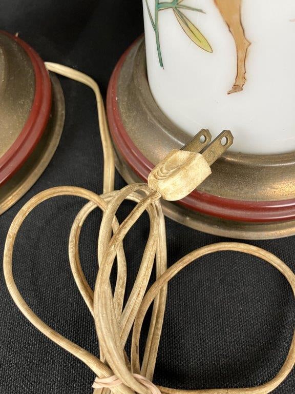 Pair of Mid Century Modern Decorated Lamps - 6