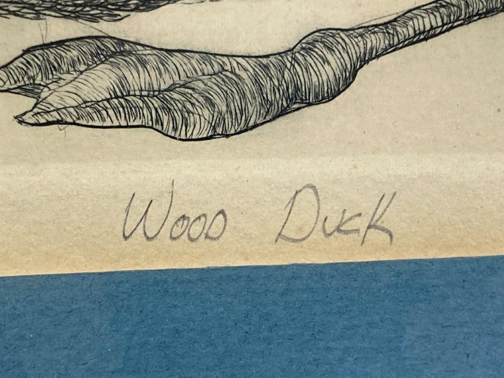 Christine McGinnis Etching, Wood Duck - 4