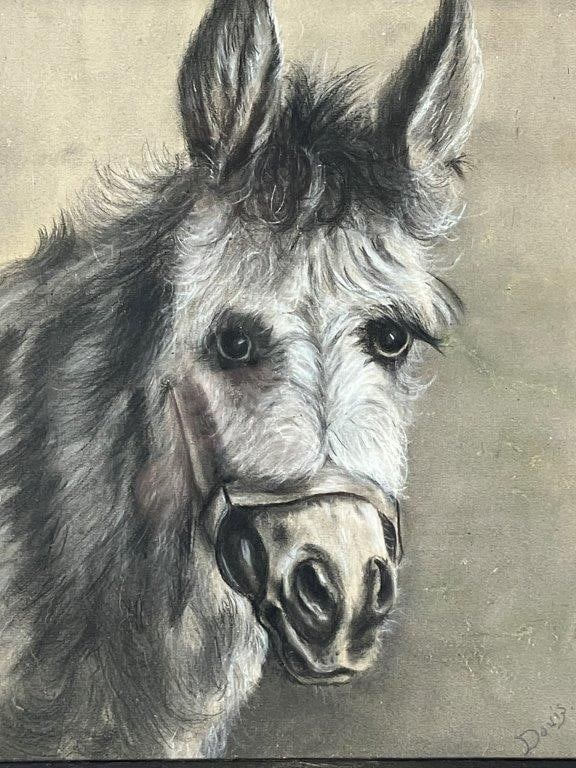 Donkey Conte Crayon Drawing - 2