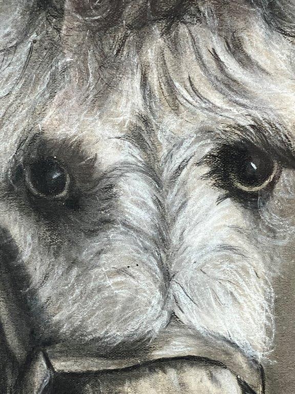 Donkey Conte Crayon Drawing - 3