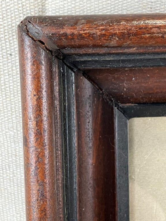 Donkey Conte Crayon Drawing - 5