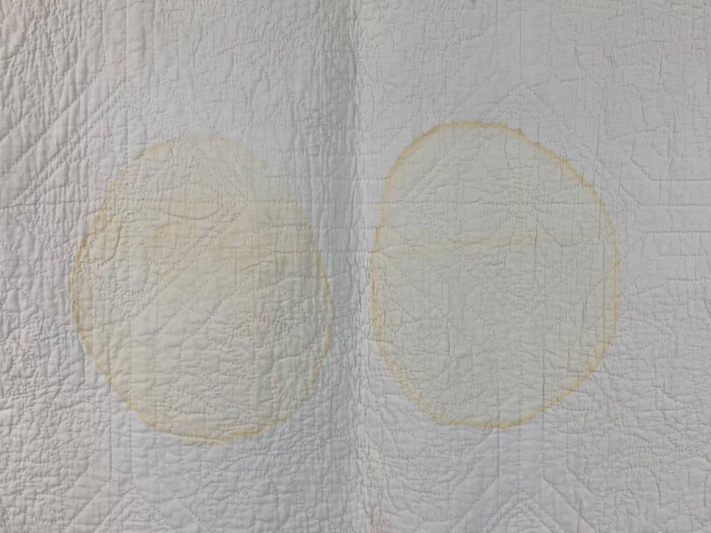 Rose Applique Quilt - 10