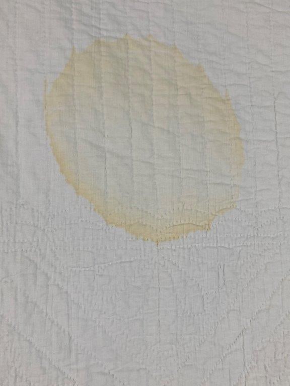 Rose Applique Quilt - 11