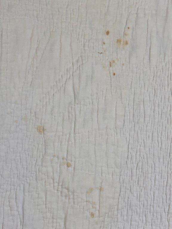 Dresden Plate Pattern Quilt - 10