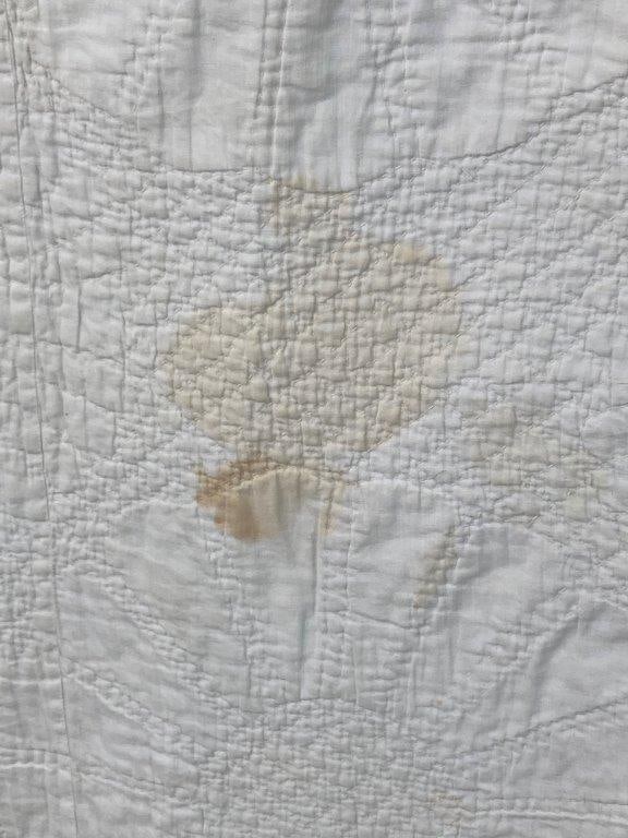 Dresden Plate Pattern Quilt - 8