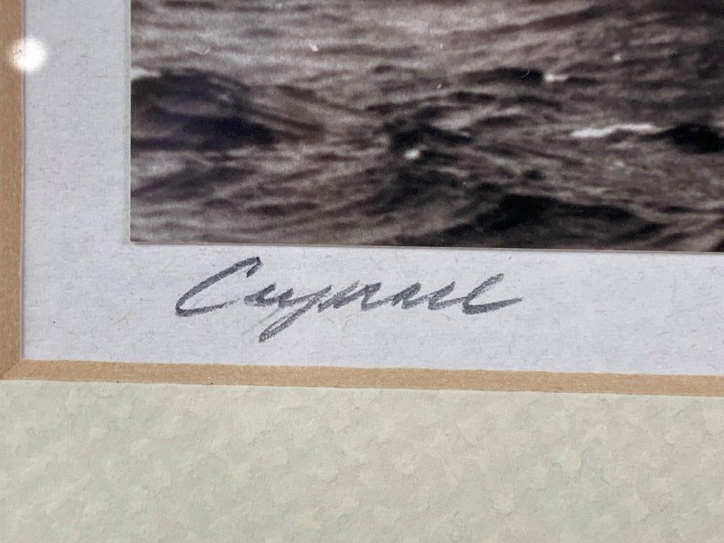 20th Century Sailboat Photographs - 5