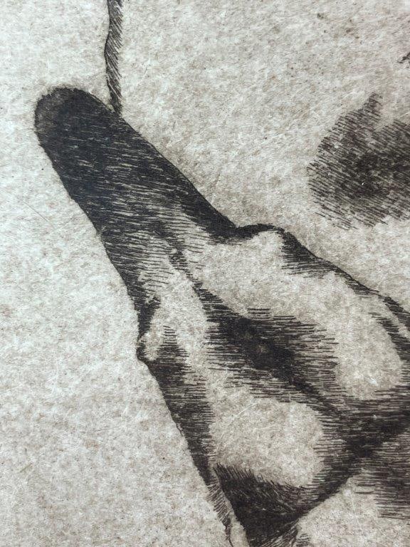 Judith Andresen Sleeping Dog Etching - 6