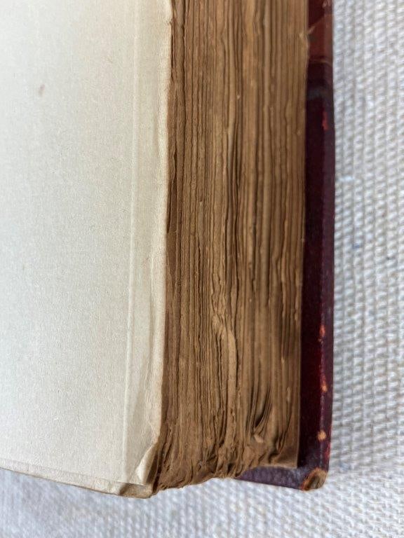 19th Century Historical Book Assortment - 14