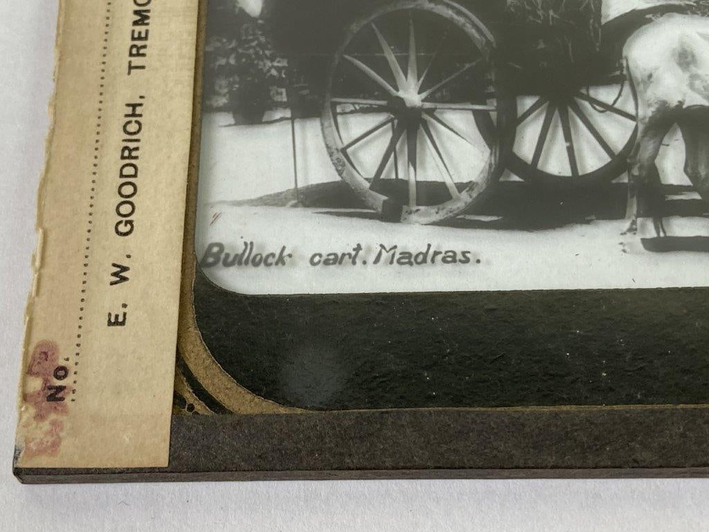 Late 19th Century Magic Lantern Slide of Indian Man and Ox-Drawn Cart - 2