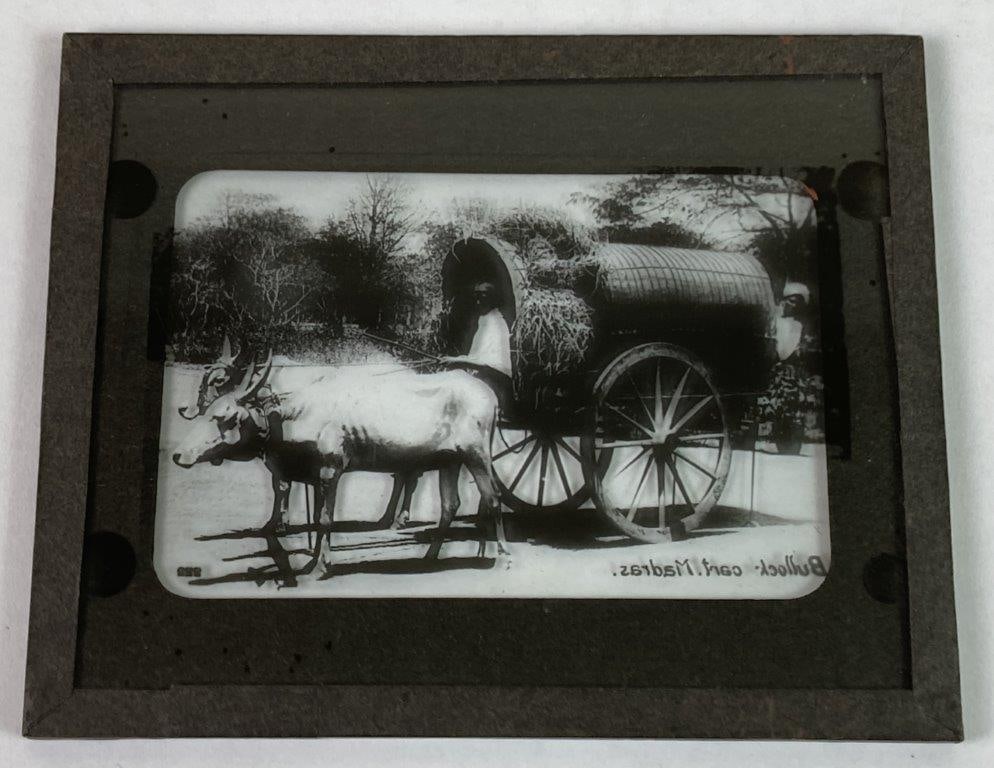 Late 19th Century Magic Lantern Slide of Indian Man and Ox-Drawn Cart - 3