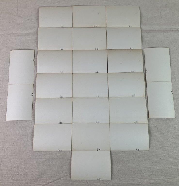 Twenty-Three Mid-20th Century Zoo Photographs - 14