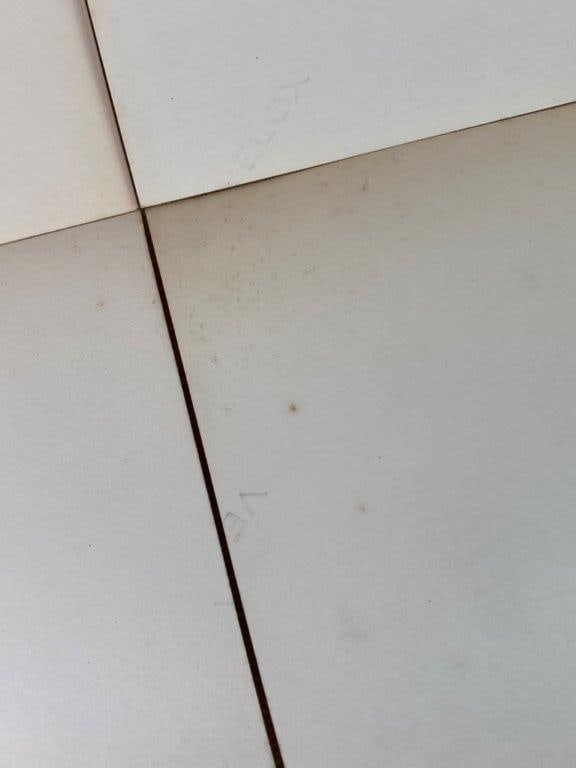 Twenty-Three Mid-20th Century Zoo Photographs - 15