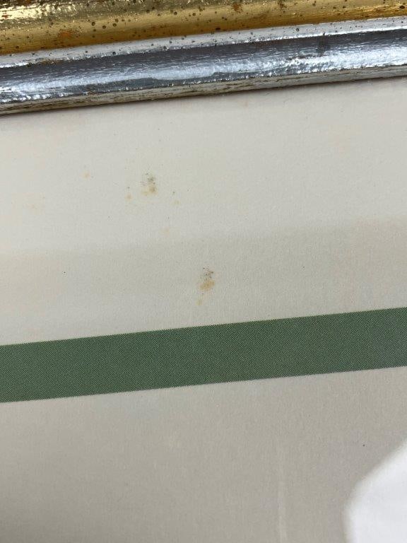 Anne Worsham Richardson Print, Carolina Chickadee - 9