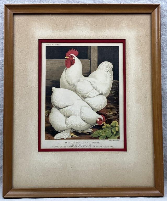 J.W. Ludlow, Chromolithograph Prints of Chickens - 10