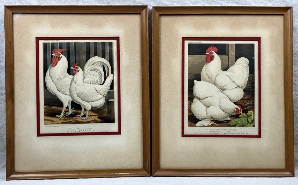 J.W. Ludlow, Chromolithograph Prints of Chickens: A pair of chromolithograph prints after works by J. W. Ludlow from Cassellâ€™s Poultry Book, originally published in 1872. One titled Mr. Julius Sichelâ€™s White
