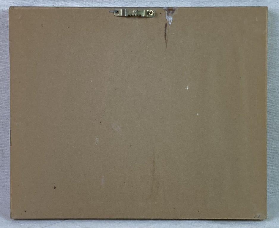 W.H. Lizars Hummingbird Prints, Campylopterus Latipennis and Trochilus Mango - 12