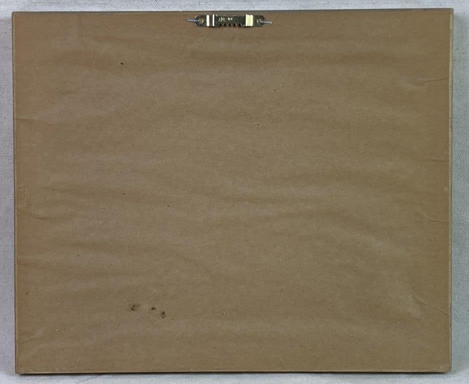 W.H. Lizars Hummingbird Prints, Campylopterus Latipennis and Trochilus Mango - 6