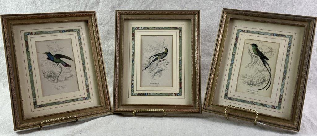 Group of W.H. Lizars Hummingbird Prints, - 10
