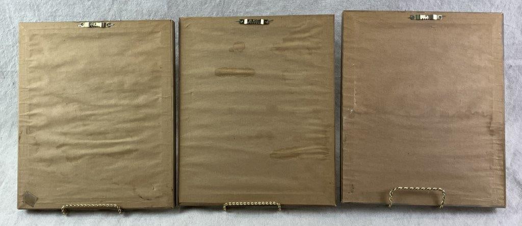 Group of W.H. Lizars Hummingbird Prints, - 17