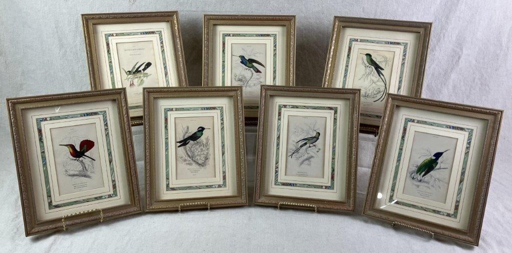 Group of W.H. Lizars Hummingbird Prints,: A group of seven natural history prints after engravings by William Home Lizars, based on original drawings by Sir William Jardine from The Naturalistâ€™s Library, first published in