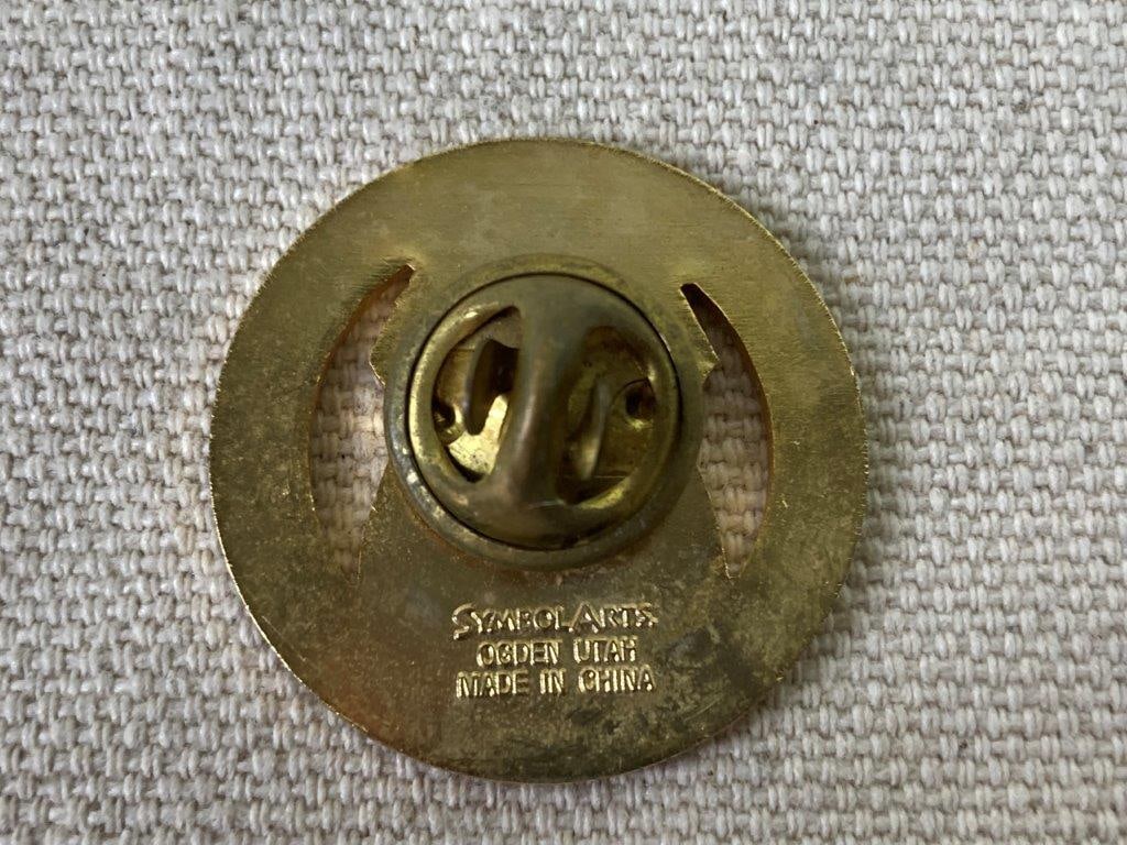 Four Law Enforcement Badges and Pin - 9