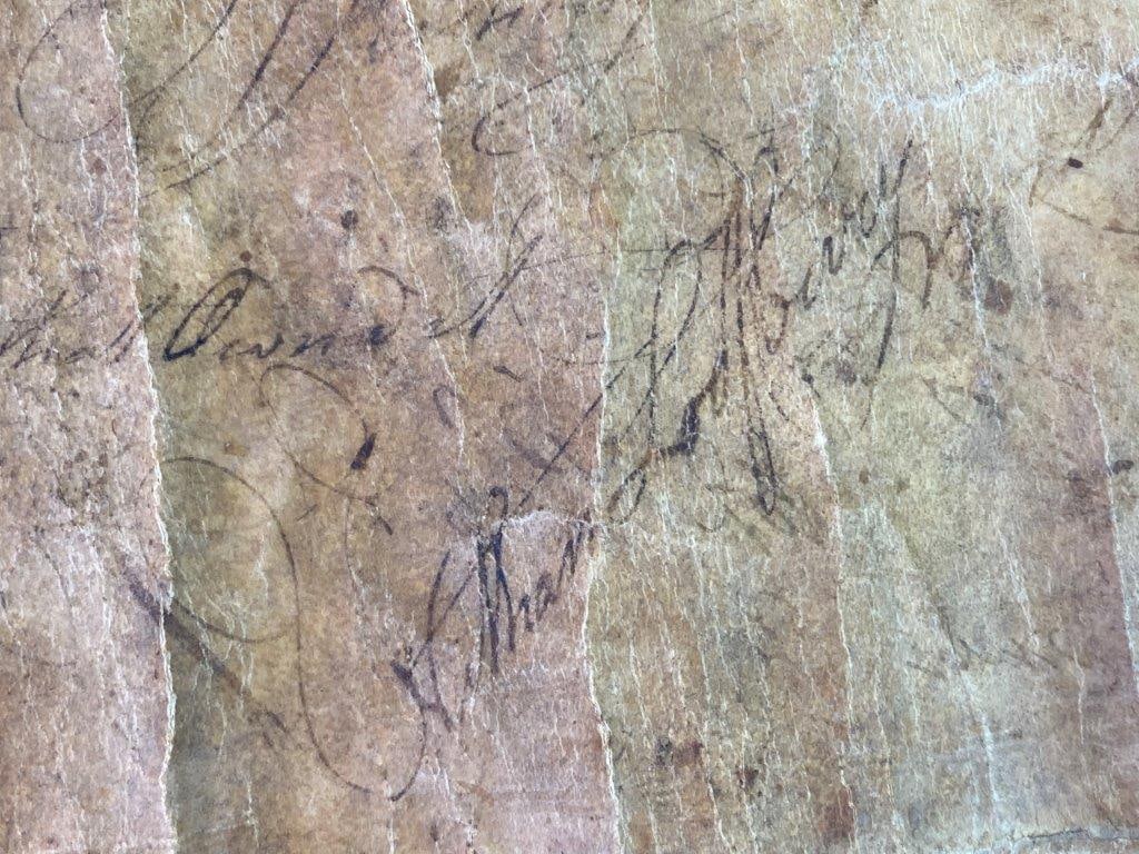 Leather Document - 3