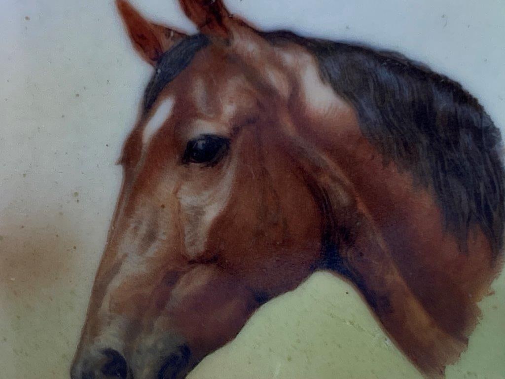 Porcelain Equestrian Shaving Mug - 7