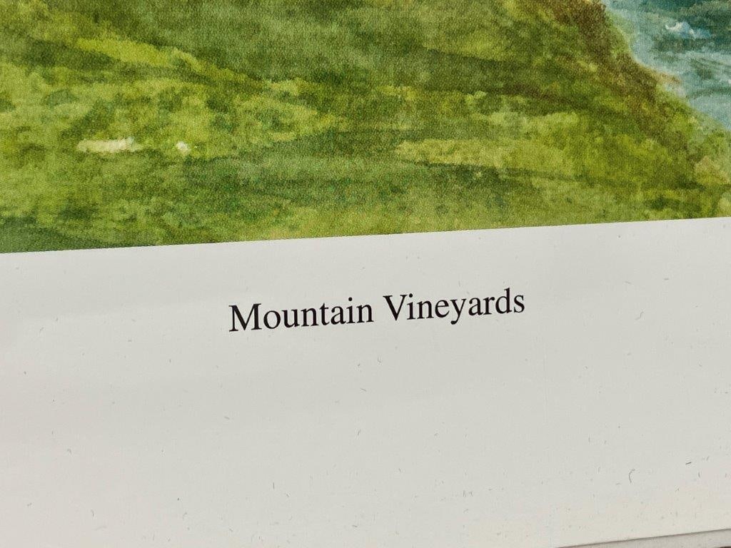 John Kollock Print, Mountain Vineyards - 3