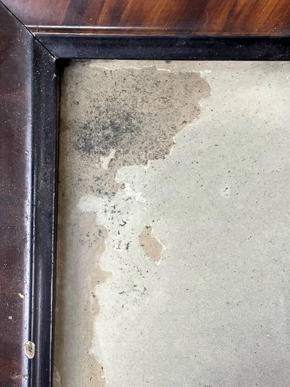 Black Americana Early 20th Century Enhanced Photograph - 5