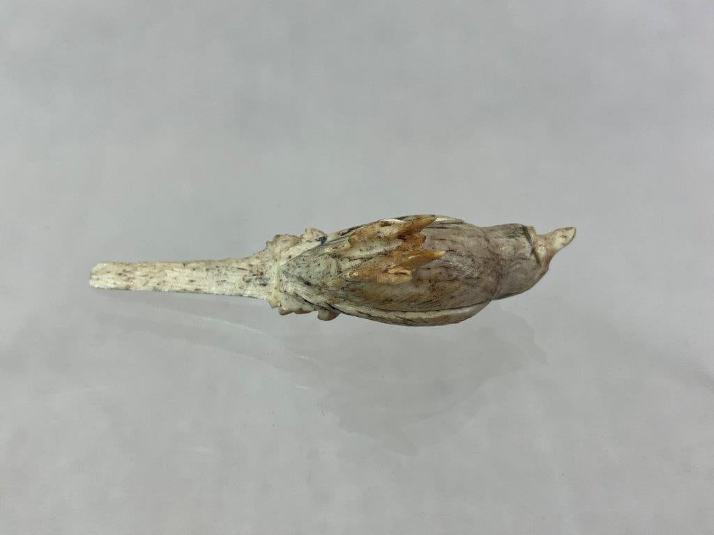 Chinese Carved Bone Bird Figure - 6