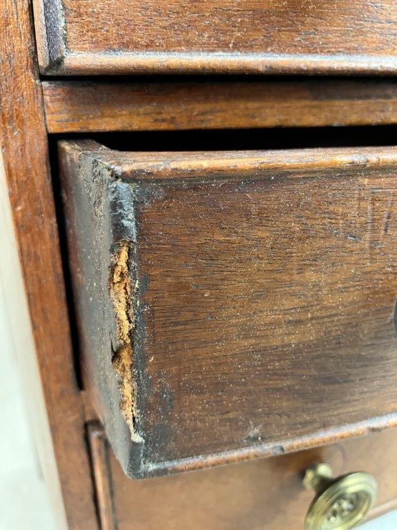 Hepplewhite Miniature Chest - 9