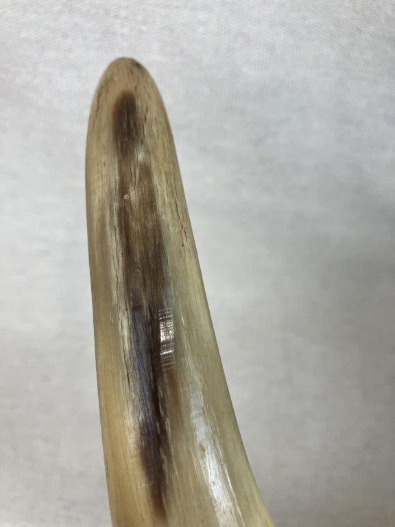 Folk Art Steer Horn Mirror - 3